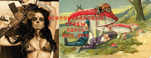 прущие грибы Алексеевка