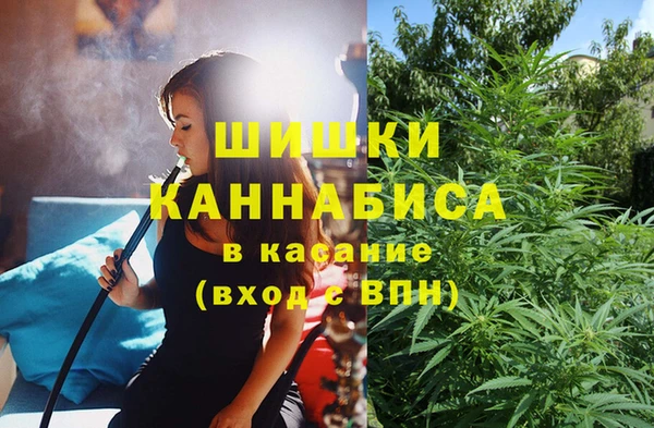 прущие грибы Алексеевка