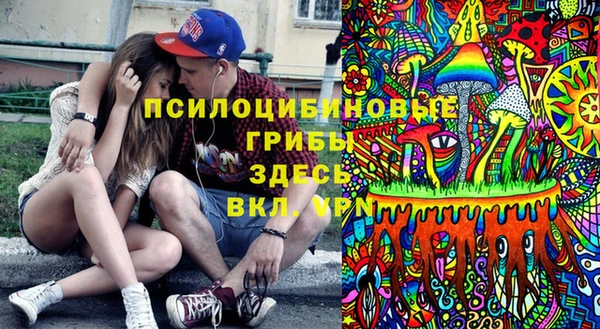 дурь Алзамай