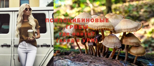 прущие грибы Алексеевка
