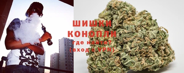 дурь Алзамай