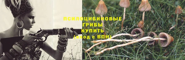 дурь Алзамай