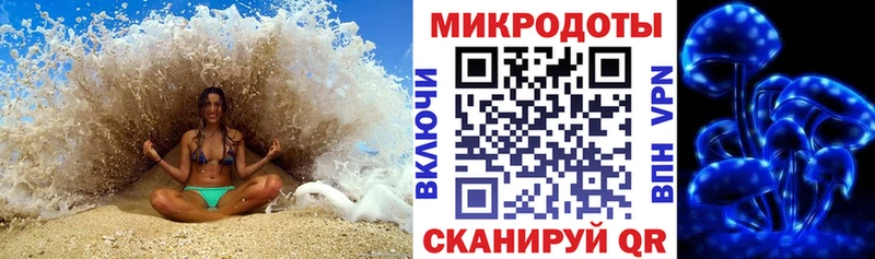 Псилоцибиновые грибы мицелий  блэк спрут ссылка  Верея 